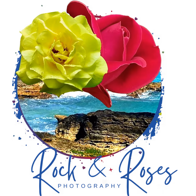 Rock and Roses Photography